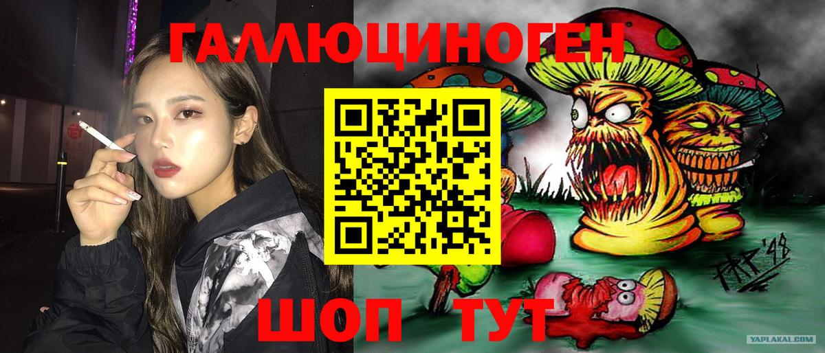 Крымск  Псилоцибиновые грибы Magic Shrooms  Вход с VPN 